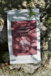 Ceremonial Cacao Venezuela- Blue Lotus x Lavender